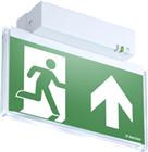 Van Lien Evago Noodverlichtingsarmatuur | 7TCA309010R0074