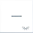 Jung AS RANGE Bed.element / centr.pl. schakelmat. | SPAS591KO5LWW