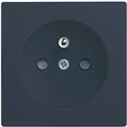 ABB Busch-Jaeger Future, Carat Bed.element / centr.pl. schakelmat. | 2CKA002099A0216