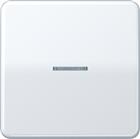 Jung CD RANGE Intelligent bedieningselement | BTCD17101LG