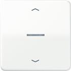 Jung CD RANGE Intelligent bedieningselement | BTCD17101P