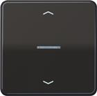 Jung CD RANGE Intelligent bedieningselement | BTCD17101PBR