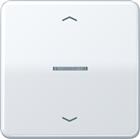 Jung CD RANGE Intelligent bedieningselement | BTCD17101PLG