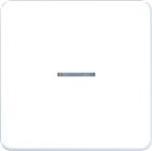 Jung CD RANGE Intelligent bedieningselement | BTCD17101WW