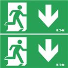 Eaton Blessing Skopos Pictogram noodverlichting | 174-001-063