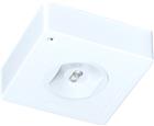 Famostar CELO Noodverlichtingsarmatuur | 393361