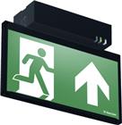 Van Lien Evago Noodverlichtingsarmatuur | 7TCA304050R0012