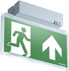 Van Lien Evago Noodverlichtingsarmatuur | 7TCA091160R0590