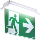 Eaton Blessing NexiTech Pictogram noodverlichting | NEXI-PLEXO-UB