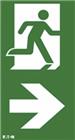 Eaton Blessing FlexiTech Pictogram noodverlichting | FT2EWEC-PICTO-VR