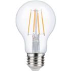 Ledlamp filament GLS A60 E27 en ba22d dimbaar - SPL