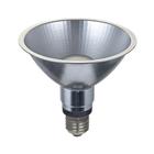 Ledspot met reflector E27 PAR30 en PAR38 grijs dimbaar - SPL