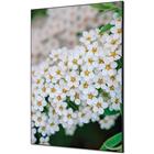 Wanddecoratie Textiel SET - Bloem Spirea - Showdown