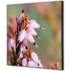 Wanddecoratie Textiel SET - Roze Bloem Erica - Showdown