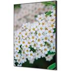 Wanddecoratie Textiel SET - Bloem Spirea - Showdown