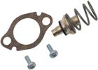 Vaillant Toeb./onderd. gasgestookte cv-ketel | 115323