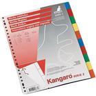 Tabblad blanco A4 PP 120 micron assorti 23-gaats